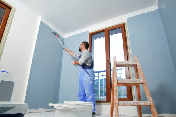 Best Remodeling Drywall  in Forest Hills, PA