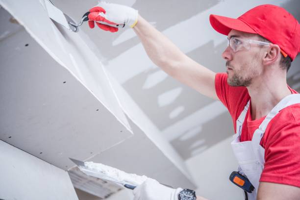 Best Ceiling Drywall Installation  in Forest Hills, PA